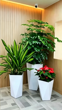 北仑花卉租摆网店四大特点，全面解析